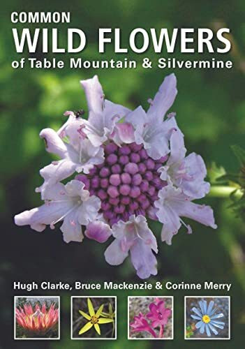 Common Wild Flowers of Table Mountain & Silvermine