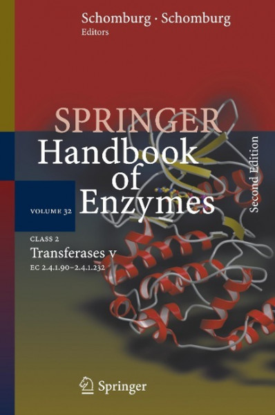 Class 2 Transferases V