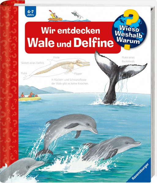 Wieso? Weshalb? Warum?, Band 41 - Wir entdecken Wale und Delfine (Sachbuch ab 4 Jahre - mit Klappen) (Kernreihe, 41)
