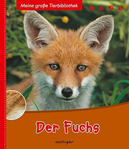 Meine große Tierbibliothek: Der Fuchs