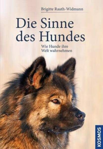 Die Sinne des Hundes: Wie Hunde ihre Welt wahrnehmen