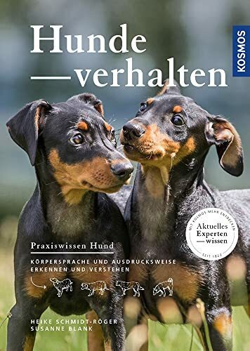 Hundeverhalten: Körpersprache und Ausdrucksweise erkennen und verstehen