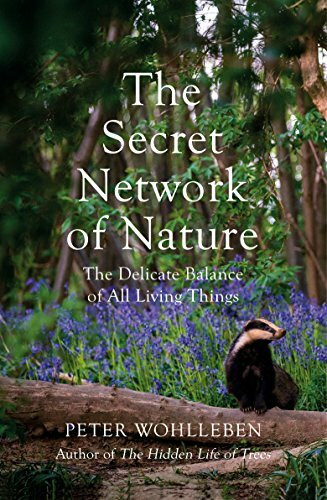 The Secret Network of Nature