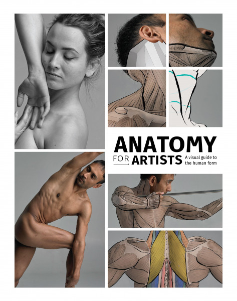 Anatomy for Artists: A Visual Guide to the Human Form