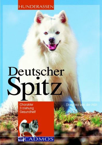 Deutscher Spitz: Charakter, Erziehung, Gesundheit