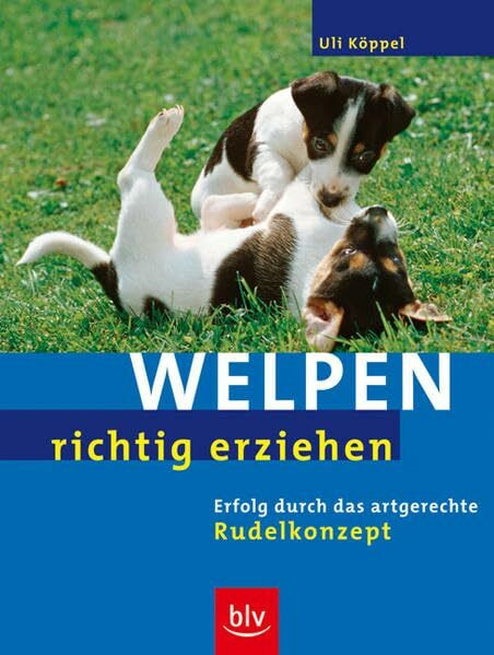 Welpen richtig erziehen: Erfolg durch das artgerechte Rudelkonzept