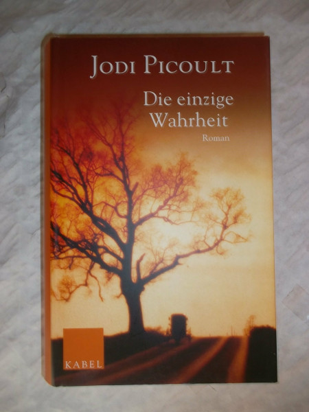 Die einzige Wahrheit: Roman