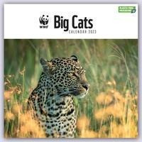 WWF Big Cats - Raubkatzen 2023