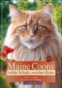 Maine Coon