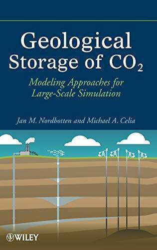 Geological Storage of CO2: Modeling Approaches for Large-Scale Simulation