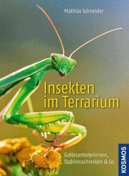 Insekten im Terrarium: Gottesanbeterinnen, Stabheuschrecken & Co.