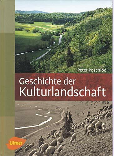 Geschichte der Kulturlandschaft: Entstehungsursachen und Steuerungsfaktoren der Entwicklung der Kulturlandschaft, Lebensraum- und Artenvielfalt in Mitteleuropa