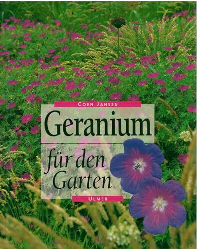 Geranium für den Garten