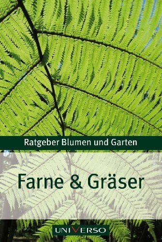 Ratgeber Garten: Farne und Gräser