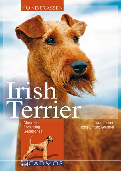 Irish Terrier: Charakter, Erziehung und Gesundheit (Cadmos Hunderassen)
