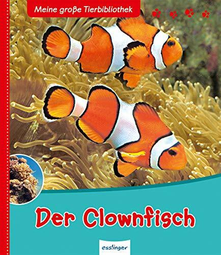 Der Clownfisch (Meine große Tierbibliothek)