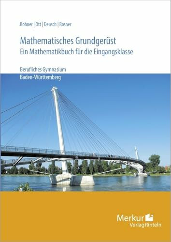 Mathematisches Grundgerüst: Ein Mathematikbuch für die Eingangsklasse