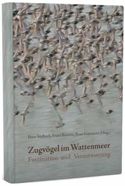 Zugvögel im Wattenmeer: Faszination und Verantwortung