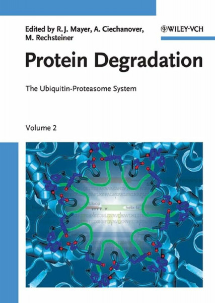 Protein Degradation: Vol. 2: The Ubiquitin-Proteasome System (Protein Degradation, 2, Band 2)