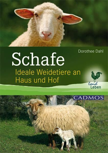 Schafe: Ideale Weidetiere an Haus und Hof (LandLeben)