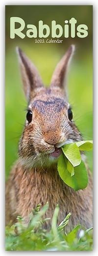 Bunnies 2022 Slimline Calendar