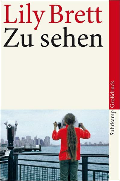 Zu sehen: Roman. Großdruck (suhrkamp taschenbuch)
