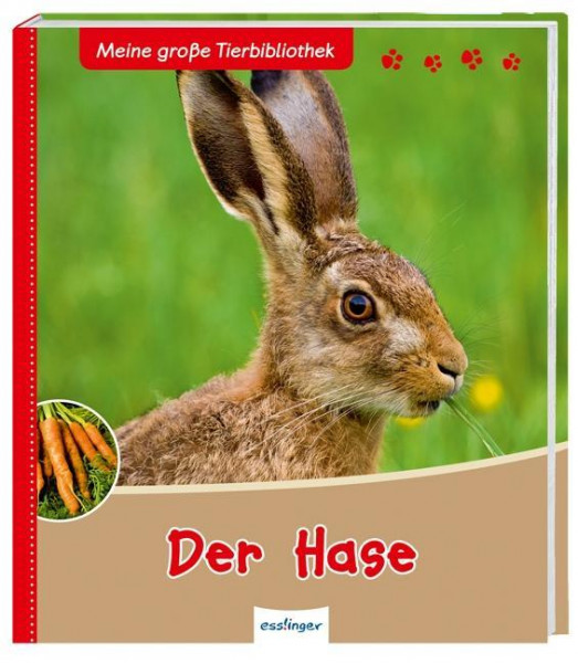 Der Hase