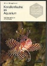 Korallenfische im Aquarium