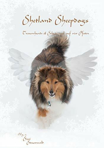 Shetland Sheepdogs: Traumhunde & Schutzengel auf vier Pfoten