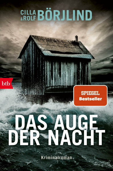 Das Auge der Nacht: Kriminalroman (Die Rönning/Stilton-Serie, Band 8)