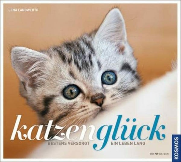 Katzenglück: Bestens versorgt ein Leben lang
