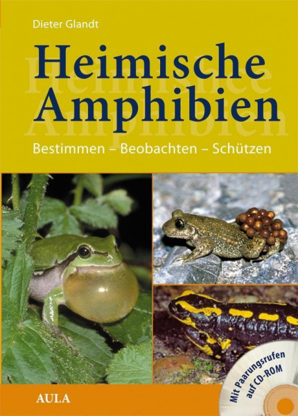 Heimische Amphibien