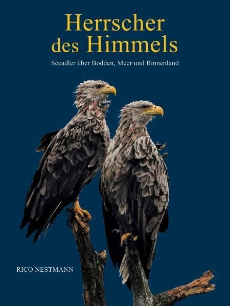 Herrscher des Himmels: Seeadler über Bodden, Meer und Binnenland