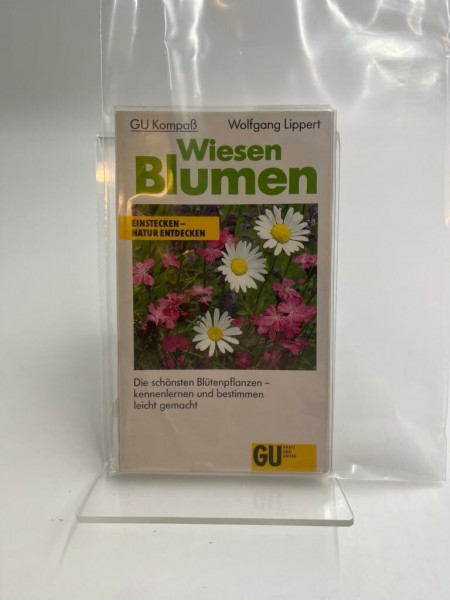 Wiesenblumen