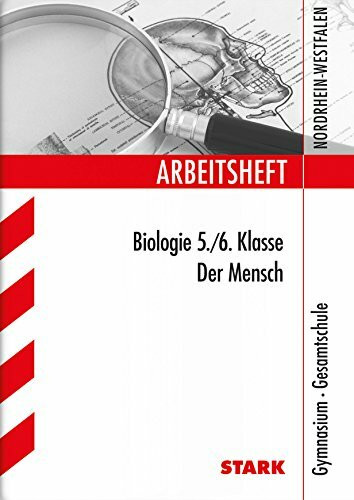 STARK Arbeitsheft Gymnasium - Biologie 5./6. Klasse - NRW: Der Mensch (Arbeitshefte)