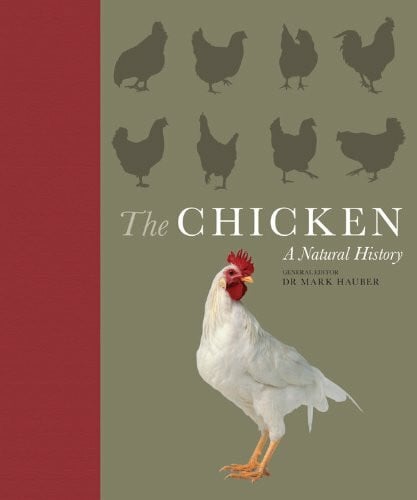 Chicken: A Natural History