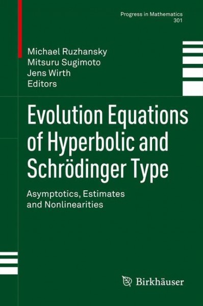 Evolution Equations of Hyperbolic and Schrödinger Type