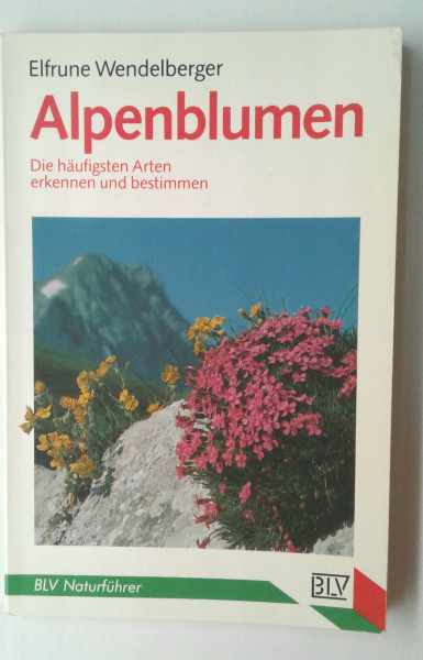 Wolkenbilder, Wettervorhersage