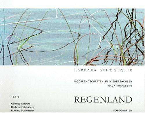 Regenwald: Moorlandschaften in Niedersachsen nach Torfabbau