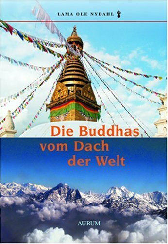 Die Buddhas vom Dach der Welt