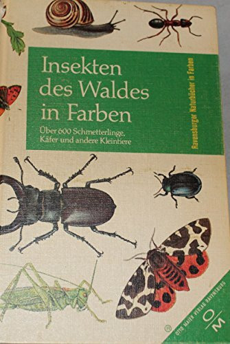 Insekten des Waldes in Farben