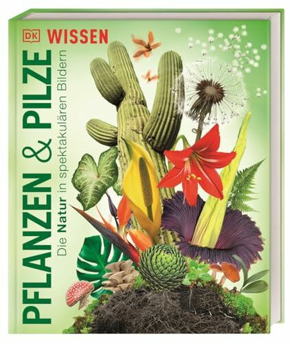 DK Wissen. Pflanzen und Pilze: Die Natur in spektakulären Bildern. Für Kinder ab 8 Jahren