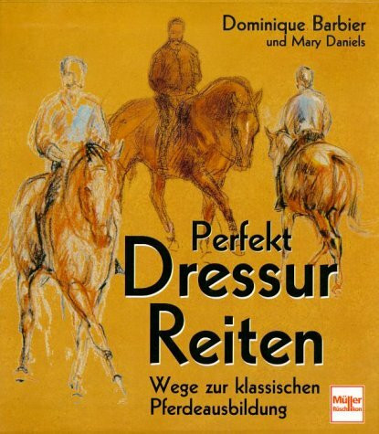 Perfekt Dressurreiten