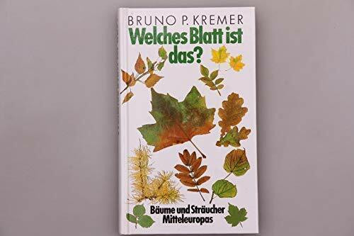 Welches Blatt ist das?