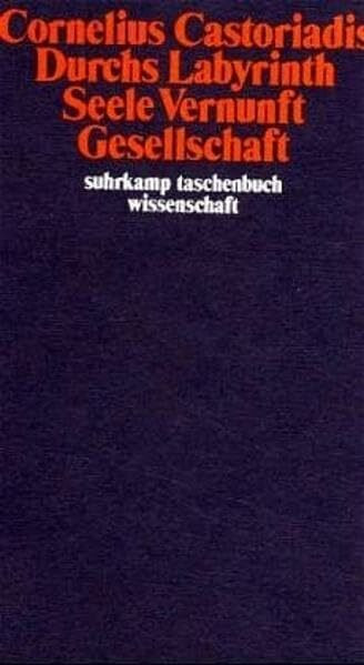Durchs Labyrinth. Seele, Vernunft, Gesellschaft (suhrkamp taschenbuch wissenschaft)
