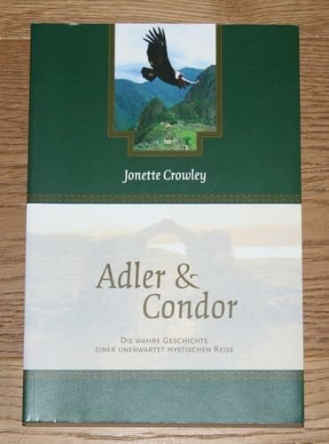Adler und Condor: Die wahre Geschichte einer unerwartet mystischen Reise