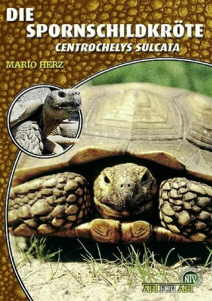 Die Spornschildkröte: Centrochelys sulcata: Geochelone Sulcata (Buchreihe Art für Art Terraristik)