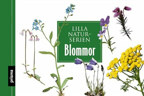 Blommor (Lilla naturserien)