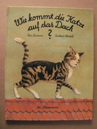 Wie kommt die Katze auf das Dach?