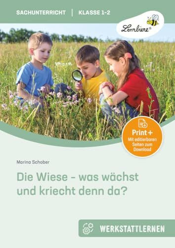 Die Wiese - was wächst und kriecht denn da?: (1. und 2. Klasse)